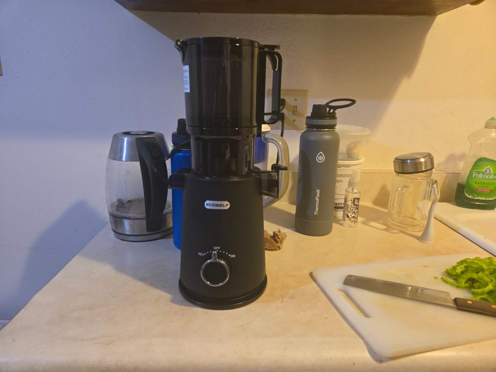 ECOSELF Juicer Machines Easy to Clean, With Wide Mouth & Large Feed Chute For Whole Fruits & Vegetables, Slow Masticating Juicer Hands-Free, Quiet Motor, Cold Press Juicer For Family, With Pusher customer photo 1