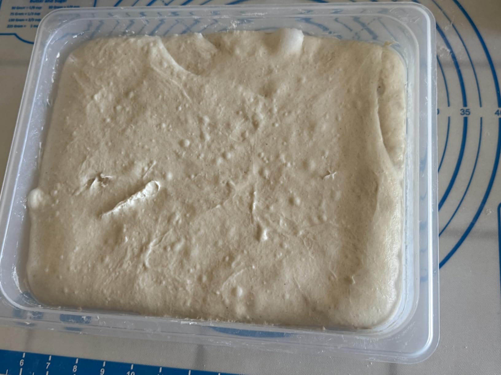Brod & Taylor Proofing Container (2 Pack) With 6L Capacity, Fits Up to 3000 Grams of Dough - Dough Rising Box for Bread, Sourdough & Pizza (Dishwasher Safe, BPA-Free) customer photo 2