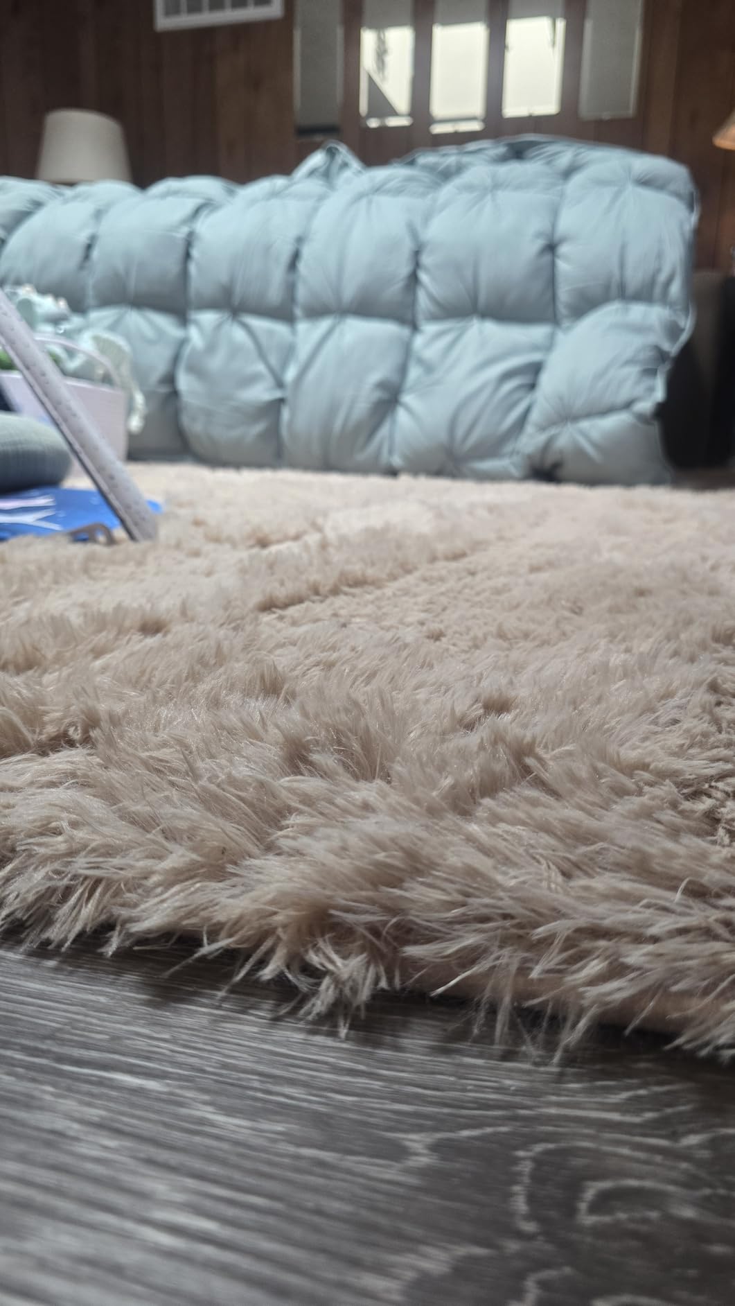 Fluffy Area Rugs 9x12 Living Room Bedroom: Ultra Soft Shag Rug Upgrade Non-Slip Non-Shedding Large Fuzzy Plush Carpet Indoor Floor Carpets for Kids Room Playroom Nursery Dorms Home Decor Black customer photo 2