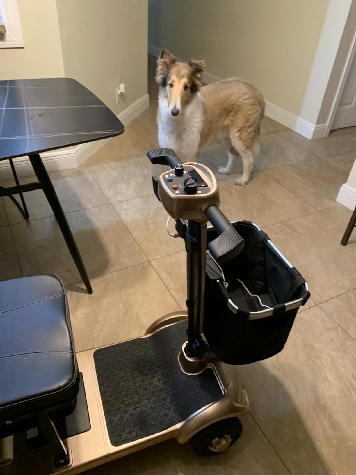 MIHAYO Lightweight 4-Wheel Mobility Scooter for Seniors and Adults, Airline Approved 24 Miles Range Electric Scooter with 280 lbs Capacity, 350W Motor and 32L Storage Wagon (Slate Blue) customer photo 2