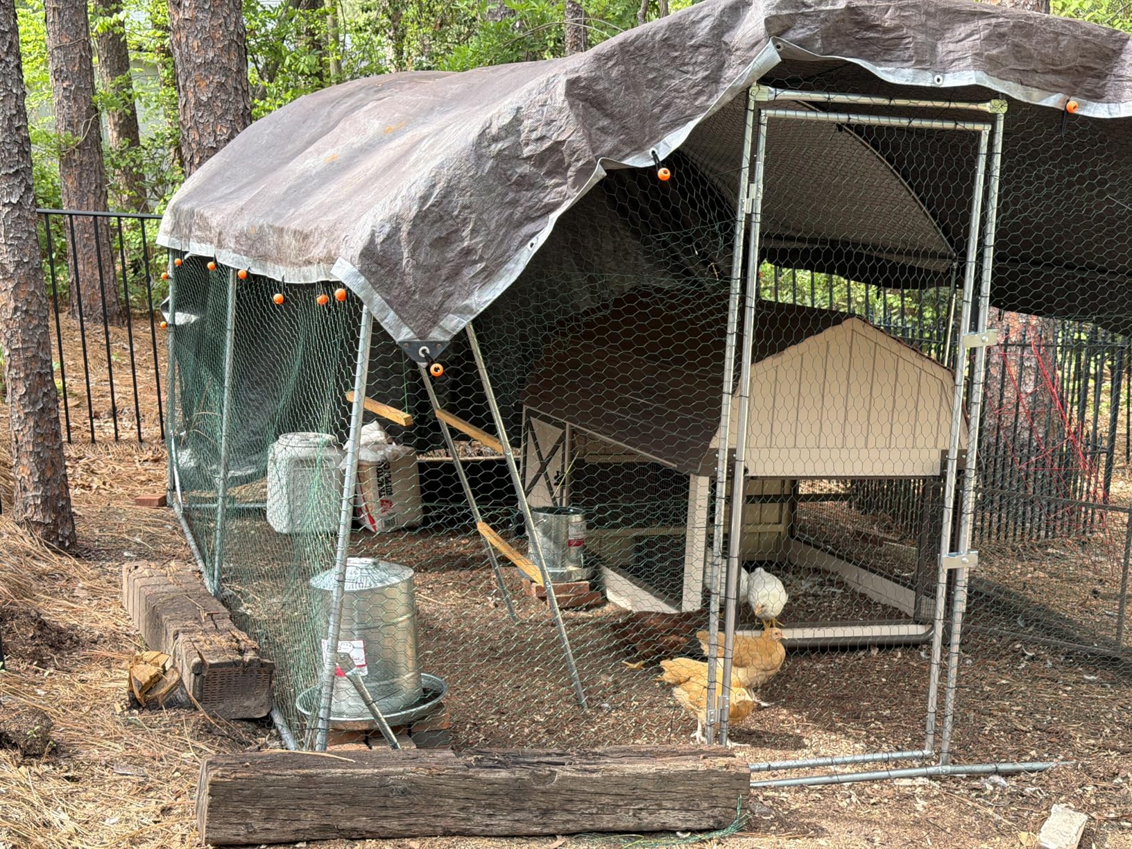Quictent Essential Series 12x9x6.6ft Metal Chicken Coop Run with Climbing Ladder customer photo 1