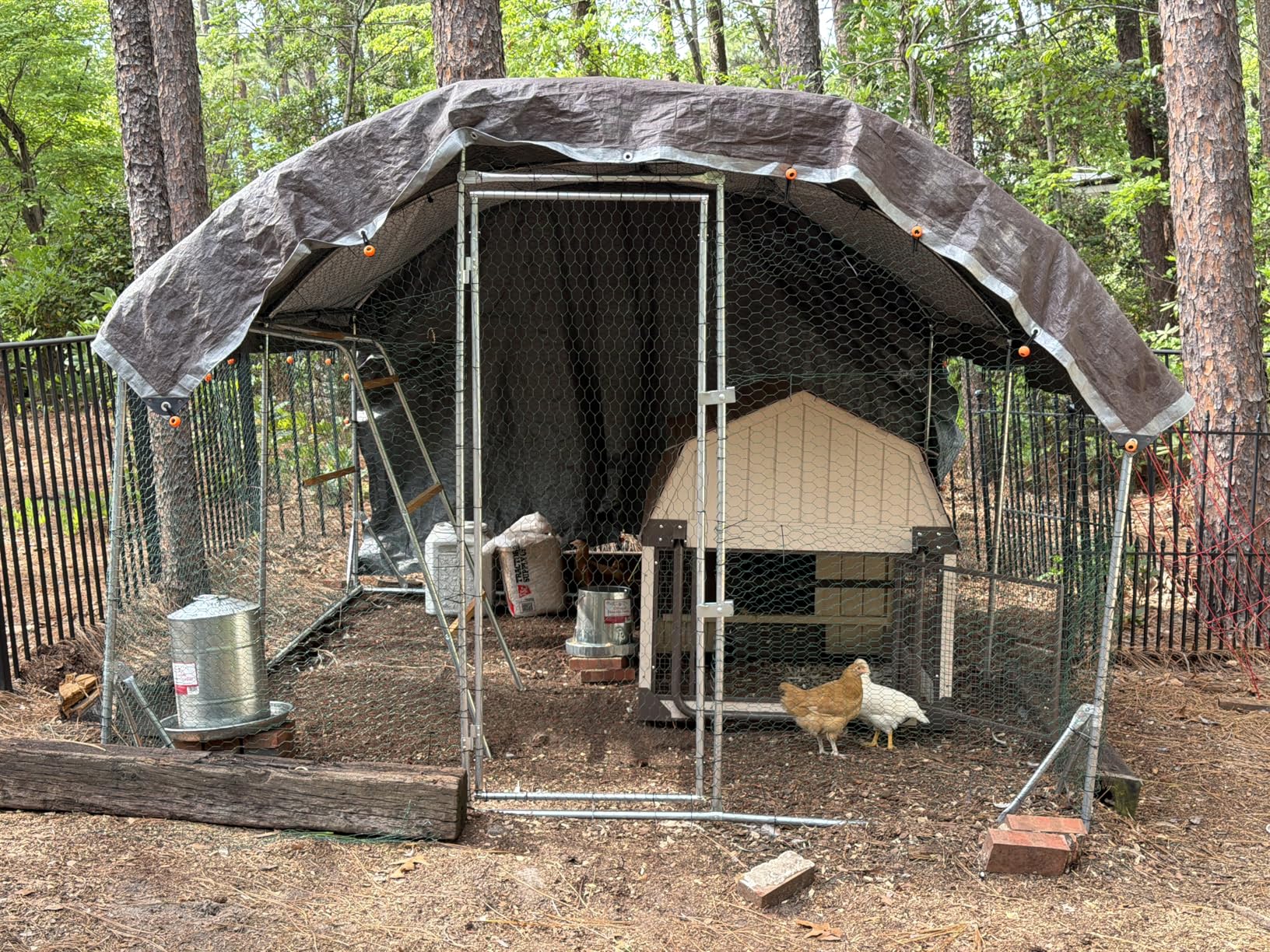 Quictent Essential Series 12x9x6.6ft Metal Chicken Coop Run with Climbing Ladder customer photo 2