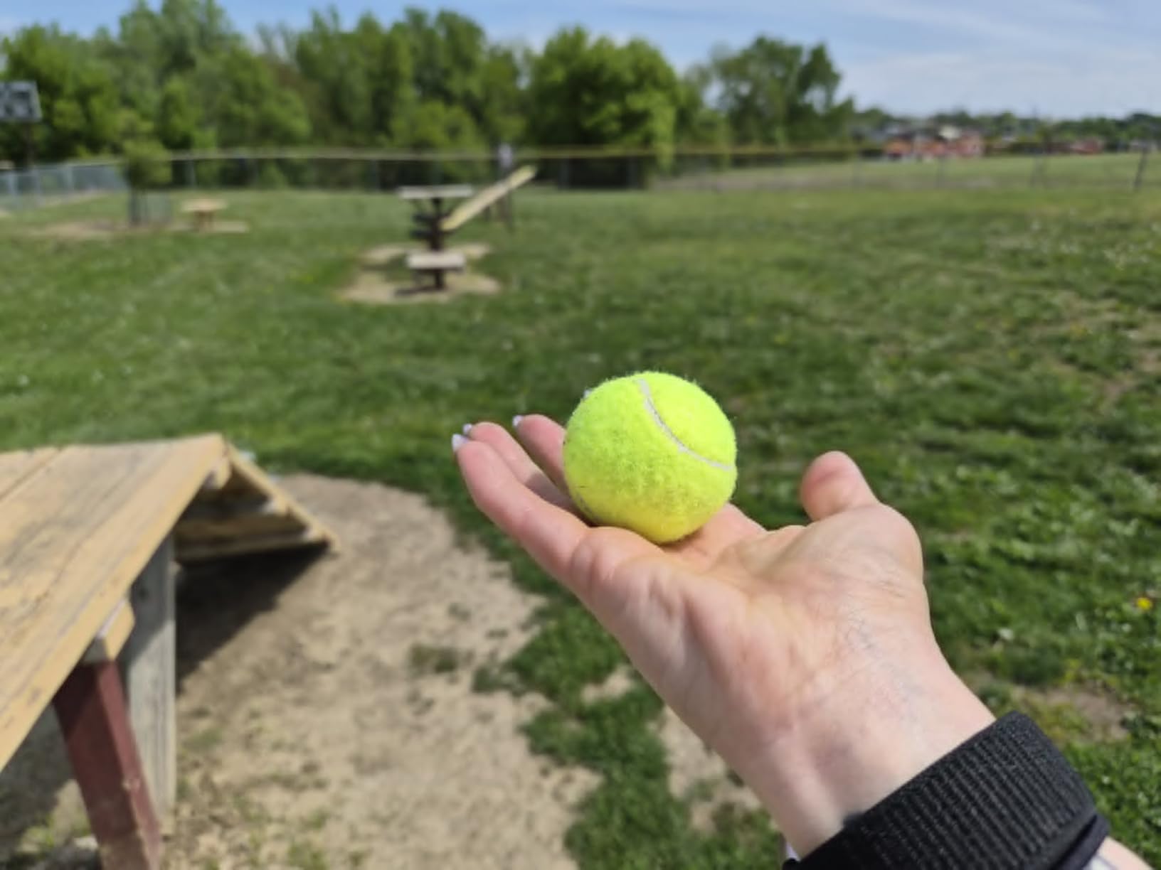 Automatic Dog Ball Launcher for Small Dogs & Medium Dogs, Interactive Fetch Machine with 3 Launch Distances (15-45 FT), USB Rechargeable, Includes 6 ETPU Balls customer photo 2