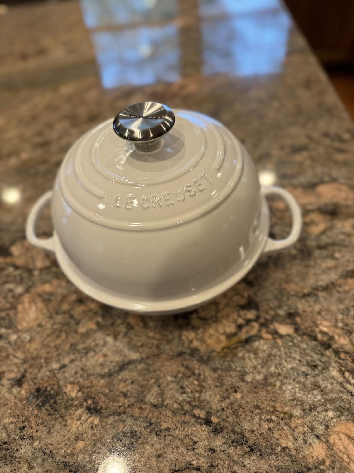 Le Creuset Enameled Cast Iron Signature Oval Bread Oven, 11.5 inch, Sea Salt customer photo 1