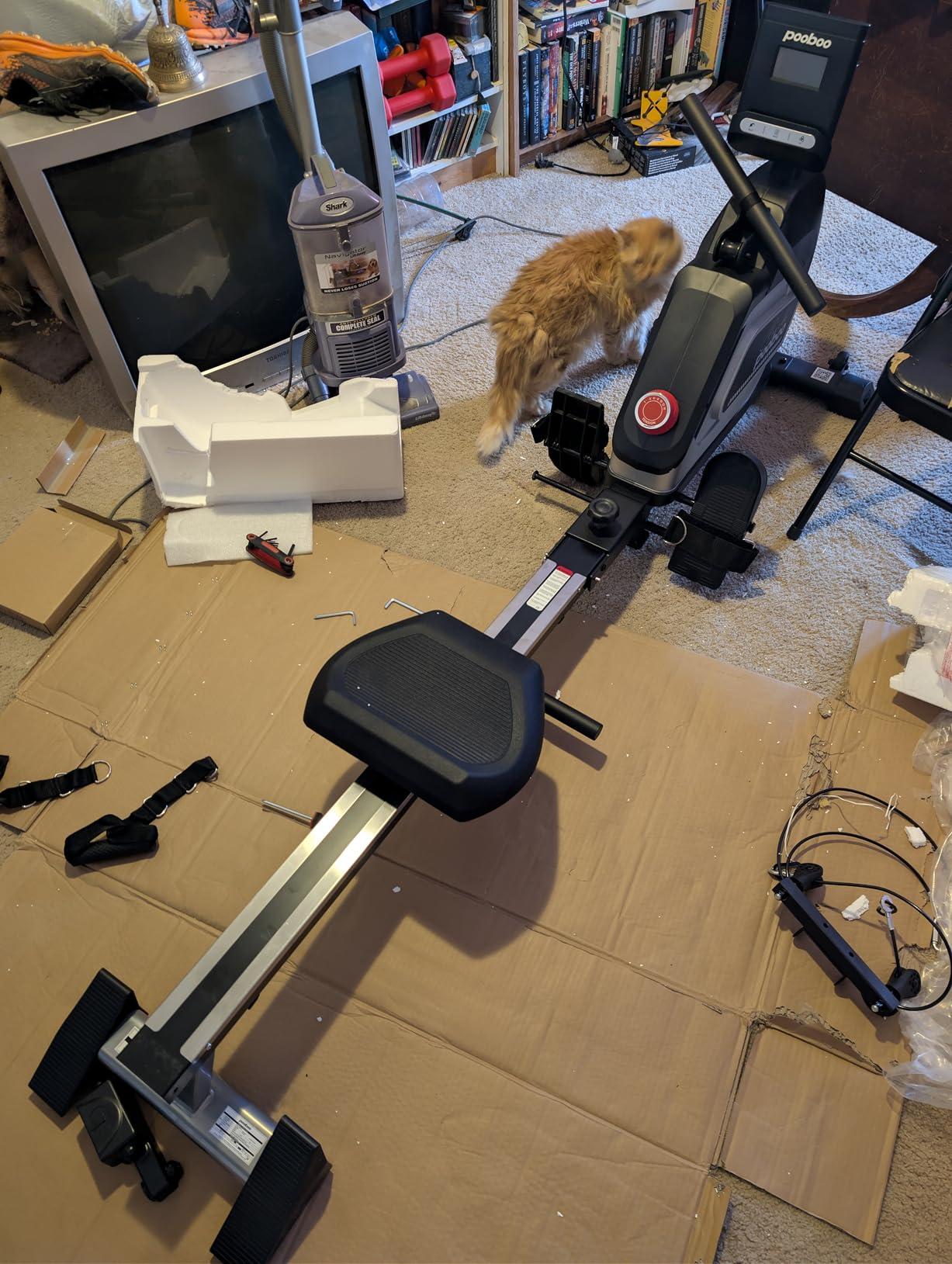 pooboo Rowing Machines for Home, Magnetic Rowing Machine with Adjustable Resistance, Folding Rower Machine of Quiet, 350lbs Weight Capacity, Comfortable Seat Cushion, LCD Monitor, App Support customer photo 1