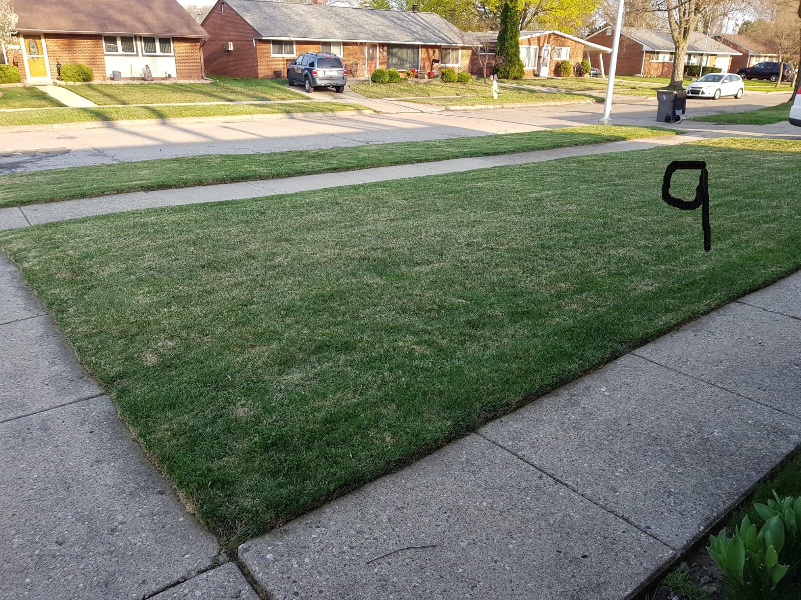 WORX Cordless Lawn Mower, 14'' Electric Mower with Mulching & Bagging, 20V Push Lawn Mower with 6-Position Height Adjustment, 5.0 Ah Battery & Charger Included, WG733.1 customer photo 2
