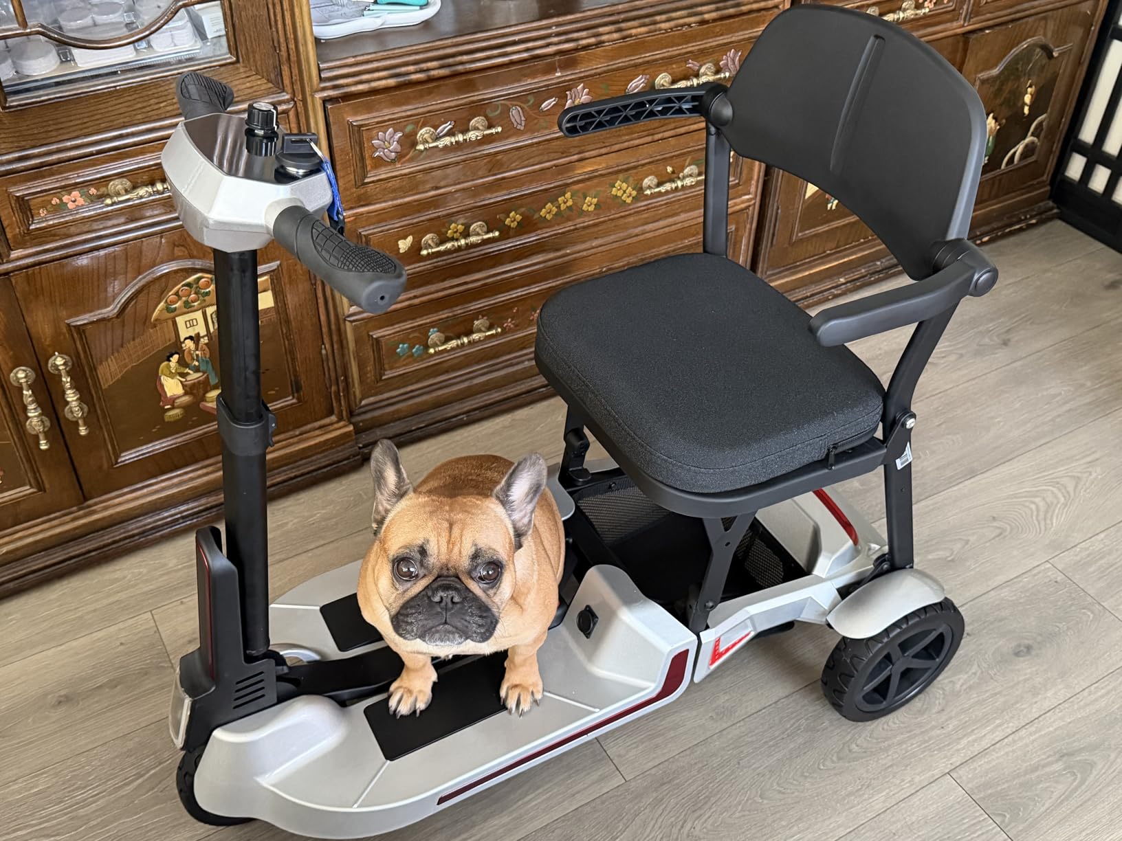 Lightweight Mobility Scooter for Seniors & Adults, 41 lb Foldable Portable Motorized Scooter with Airline-Friendly 12Ah Lithium Battery, 12/24 Mile Range, 300 lb Capacity, LED Lights & 4 Storage Areas customer photo 1