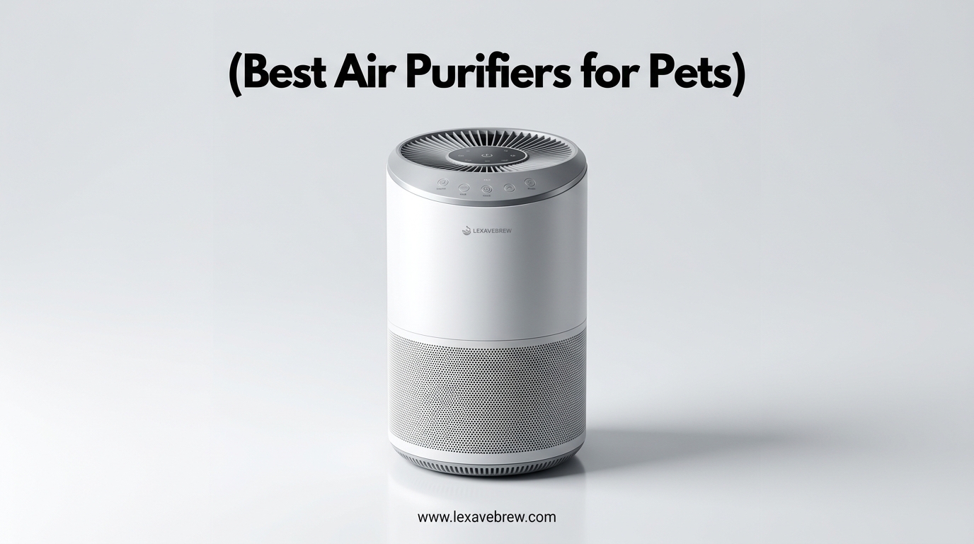 Best Air Purifiers for Allergies