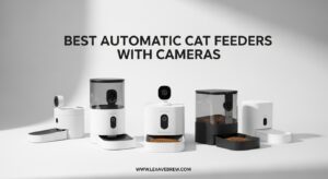 Best Automatic Cat Feeders With Cameras