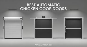 Best Automatic Chicken Coop Doors