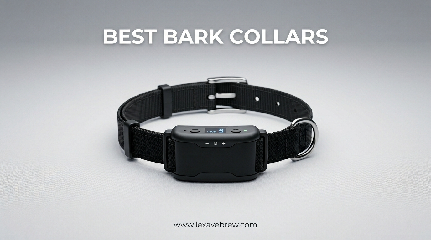 Best Bark Collars