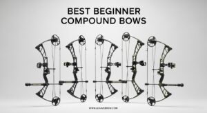 Best Beginner Compound Bows