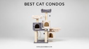 Best Cat Condos