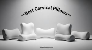 Best Cervical Pillows