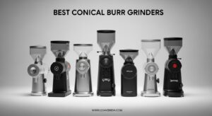 Best Conical Burr Grinders