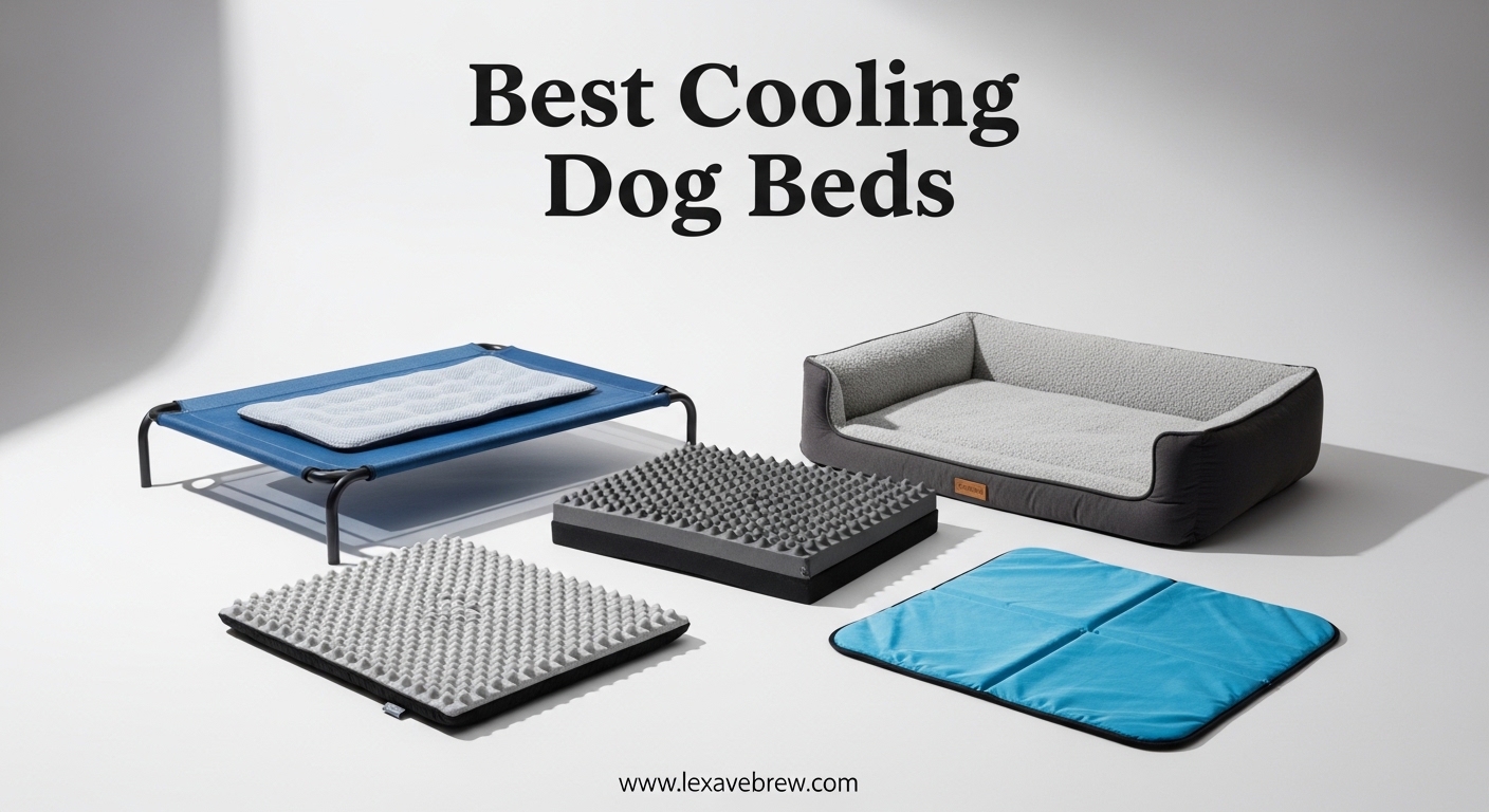Best Cooling Dog Beds