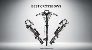 Best Crossbows