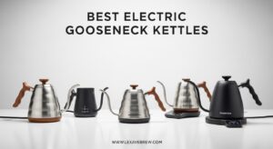 Best Electric Gooseneck Kettles