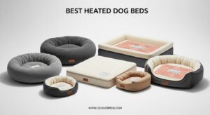 Best Heated Dog Beds
