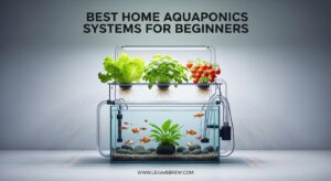 Best Home Aquaponics Systems for Beginners