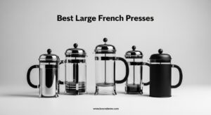 Best Large French Presses