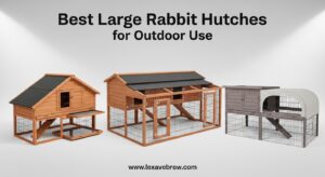 Best Large Rabbit Hutches for Outdoor Use