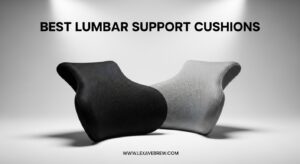 Best Lumbar Support Cushions