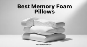 Best Memory Foam Pillows