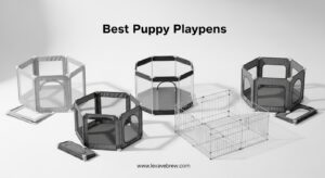 Best Puppy Playpens