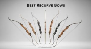 Best Recurve Bows