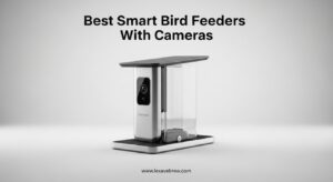Best Smart Bird Feeders With Cameras