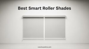 Best Smart Roller Shades