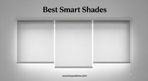 Best Smart Shades