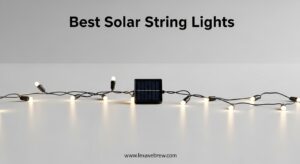 Best Solar String Lights