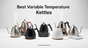 Best Variable Temperature Kettles