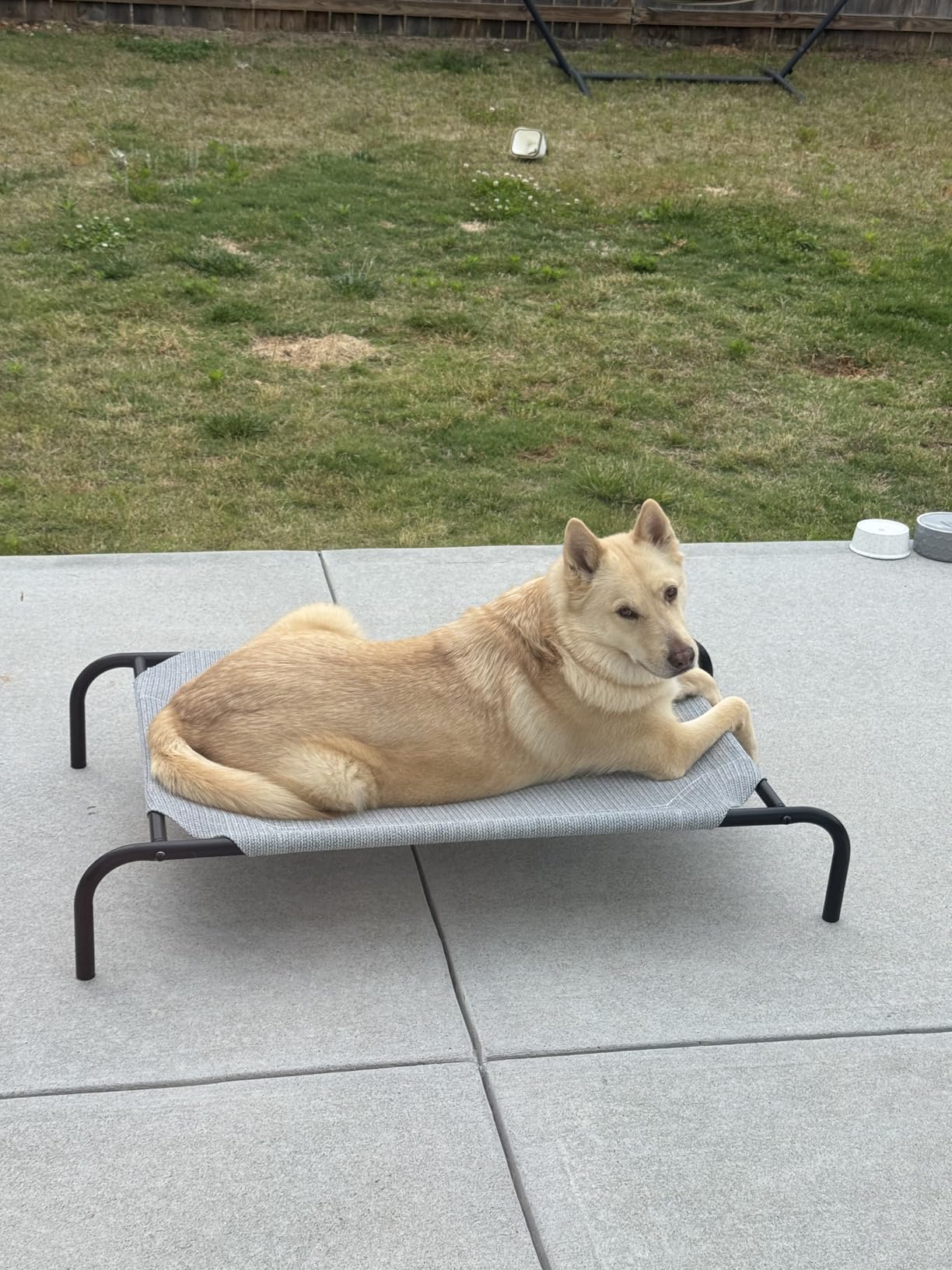 Coolaroo The Original Cooling Elevated Pet Bed, Medium, Brunswick Green customer photo 2