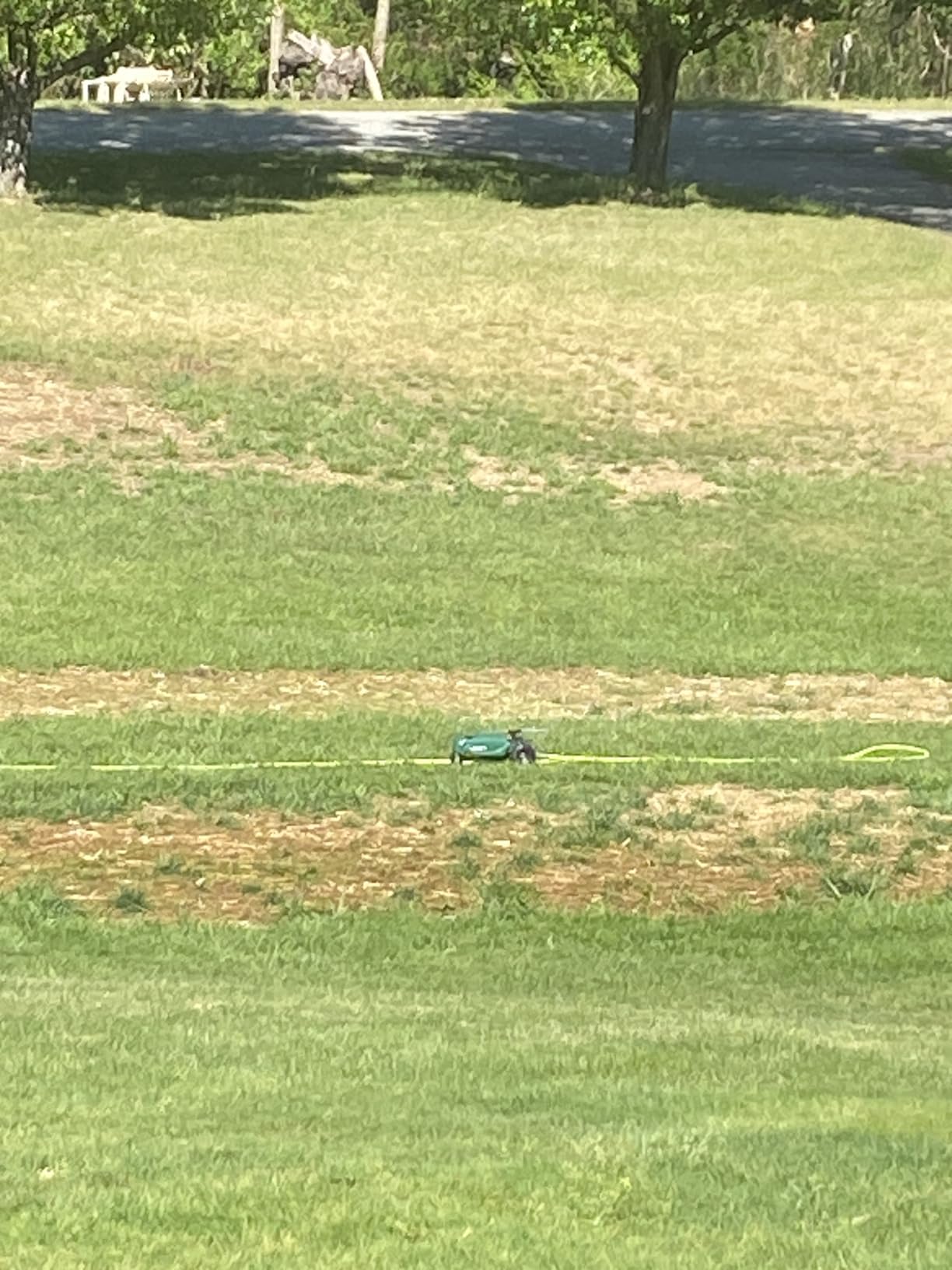 Orbit Traveling Tractor Water Sprinkler - Self-Propelled Traveling Sprinkler for Wide Lawn Coverage - Cast-Iron Body with Adjustable Coverage - Three-Speed - Automatic Shut Off - 58322 customer photo 2