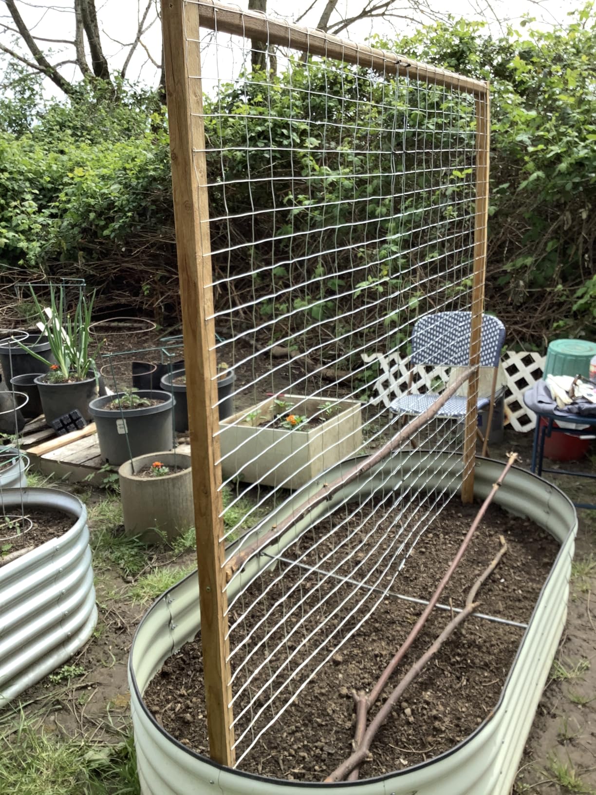 YARDGARD 2 in. x 3 in. Mesh Welded Wire Fence Roll, 36 in. x 50 ft., 16 Gauge Galvanized Steel Fence for Animal Enclosures, Garden Protection and Property Fencing customer photo 1