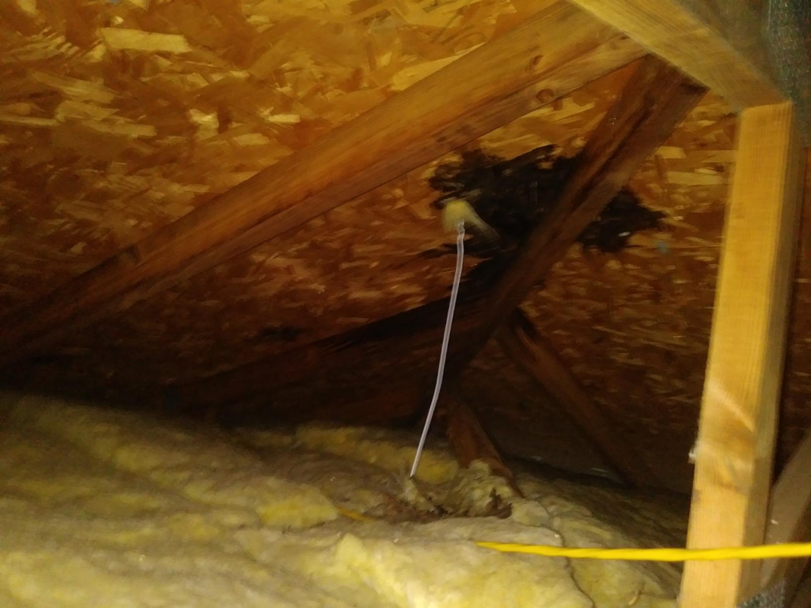 Sashco 14004 Gallon Clear Roof Sealant customer photo 2