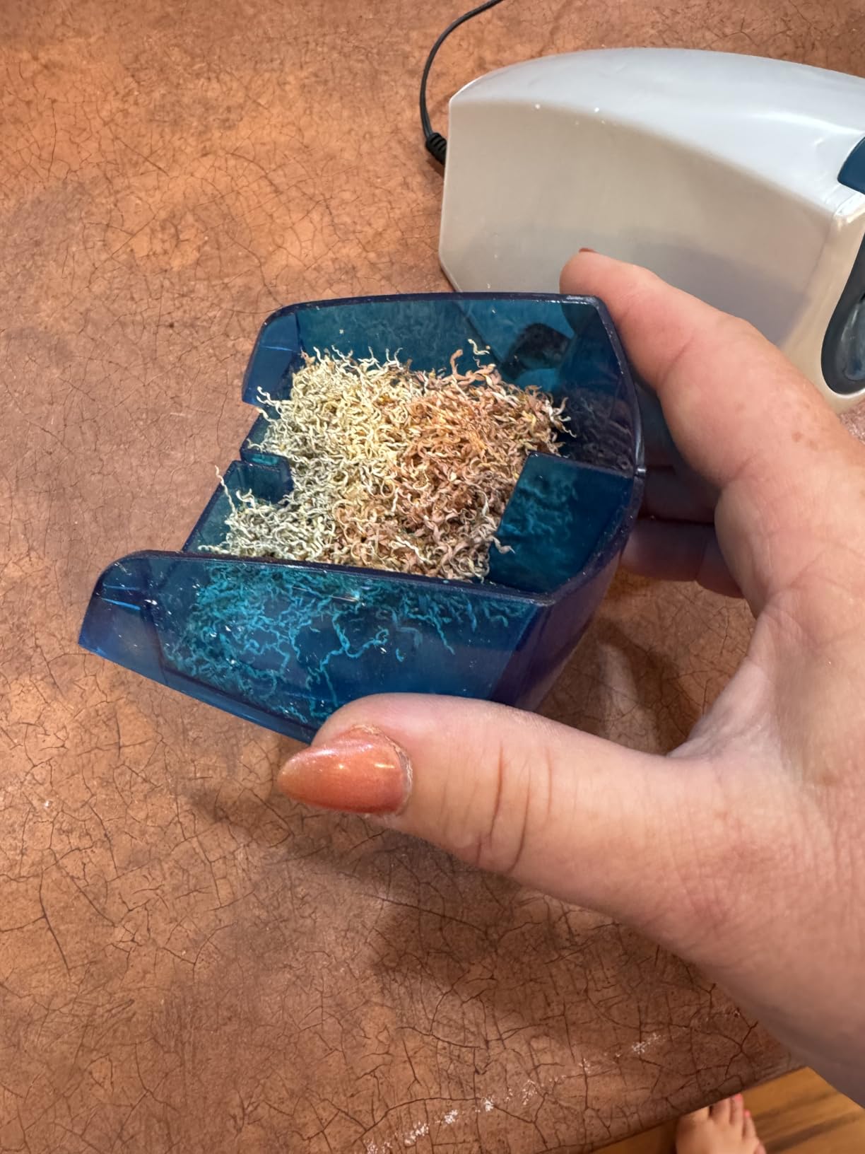 Bostitch Office Electric Pencil Sharpener for Classroom & Desk Use, Heavy-Duty Stall-Free Motor, High-Capacity Shavings Tray, Blue customer photo 1