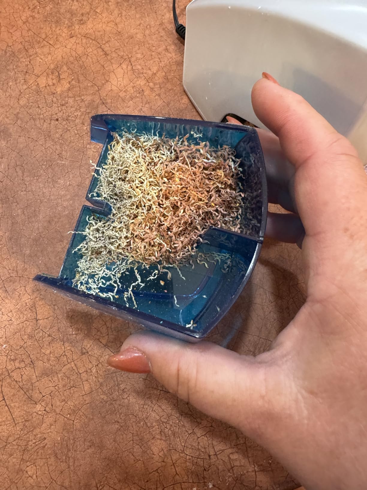 Bostitch Office Electric Pencil Sharpener for Classroom & Desk Use, Heavy-Duty Stall-Free Motor, High-Capacity Shavings Tray, Blue customer photo 2