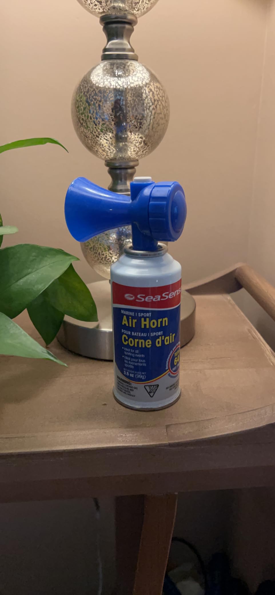 SeaSense Air Horn - Large Size (3.5 oz), 118 dB - Loud 1 Mile Range, Meets EPA & USCG Standards - Great for Boat & Marine Safety, Ideal for Sporting Events Such as Football & Soccer customer photo 2