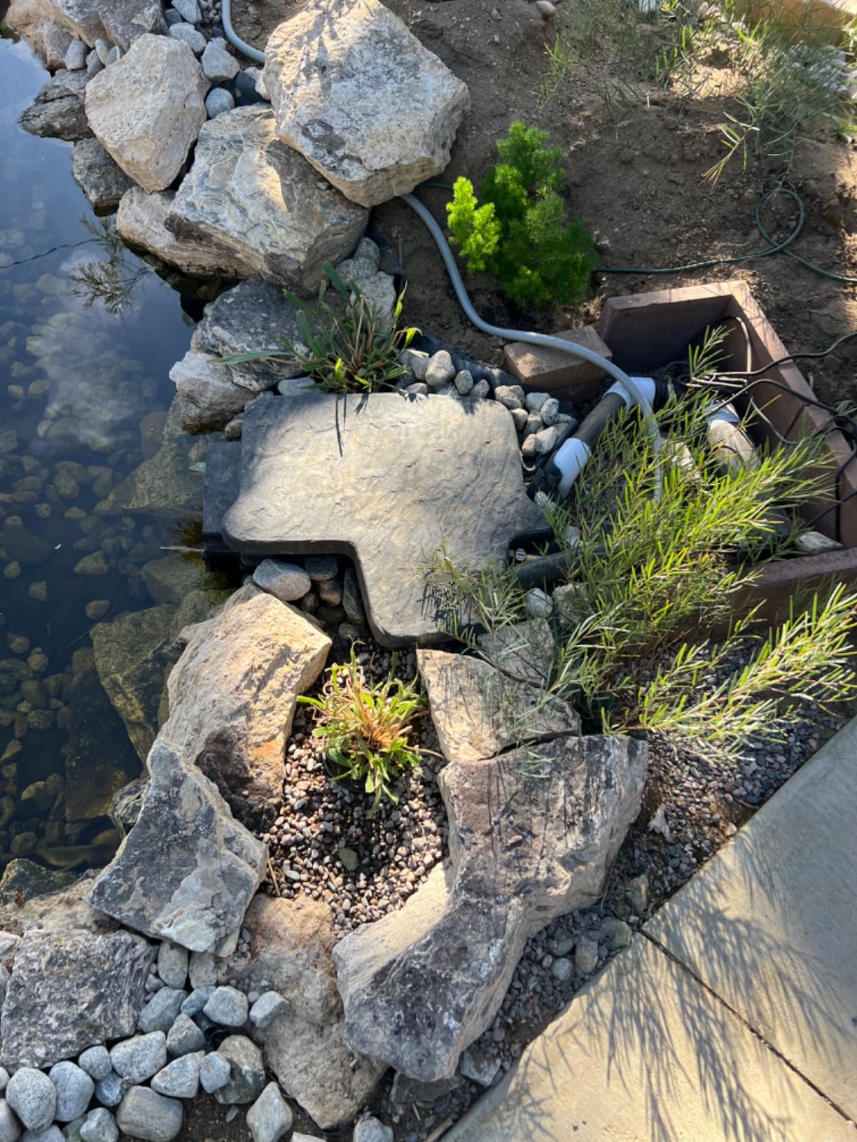 EasyPro PS4E ECO-Series Pond Skimmers - In-Pond Skimmer with No Leaks Design customer photo 1