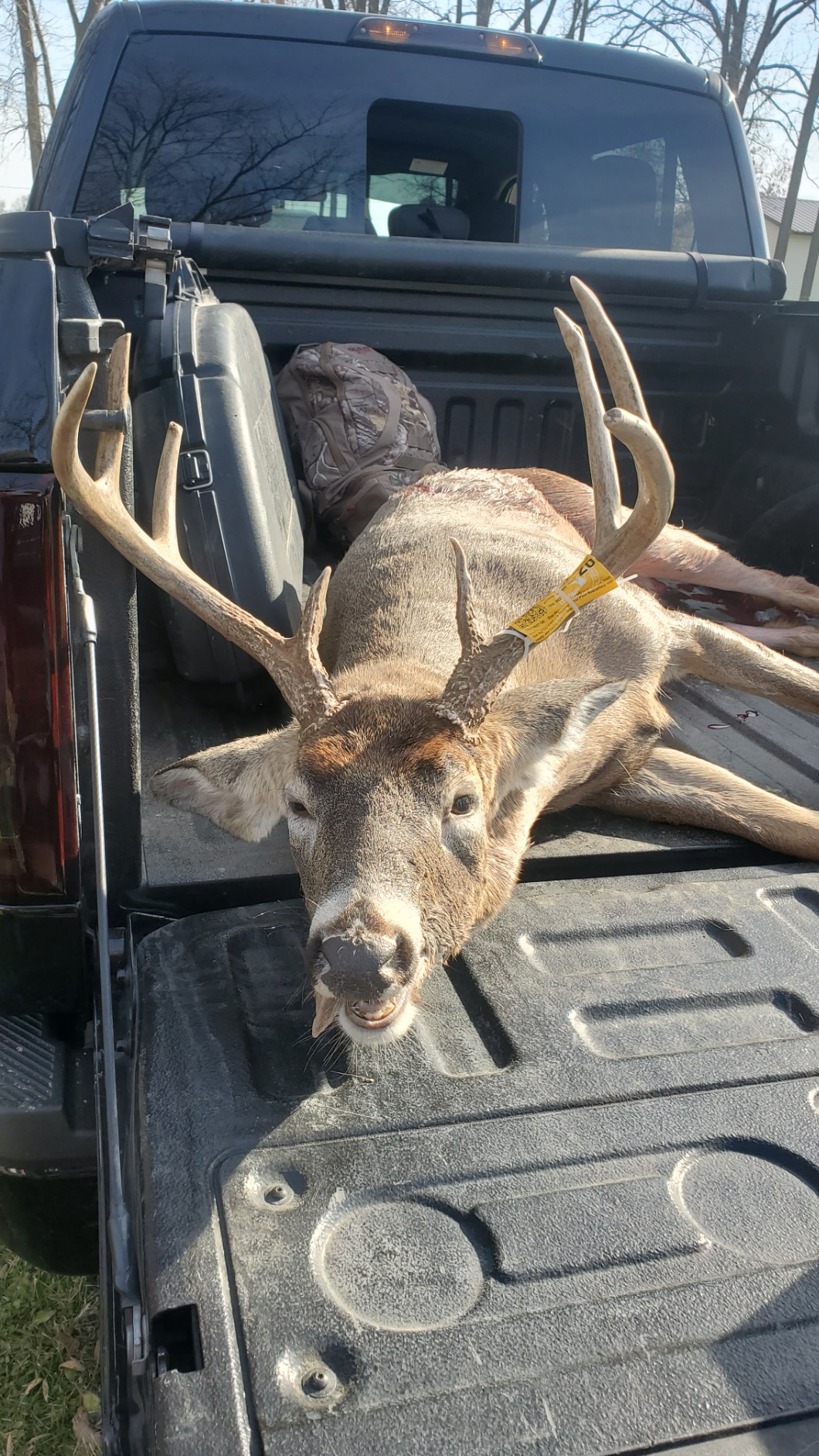 Montana Decoy Dream Team Buck and Doe customer photo 1