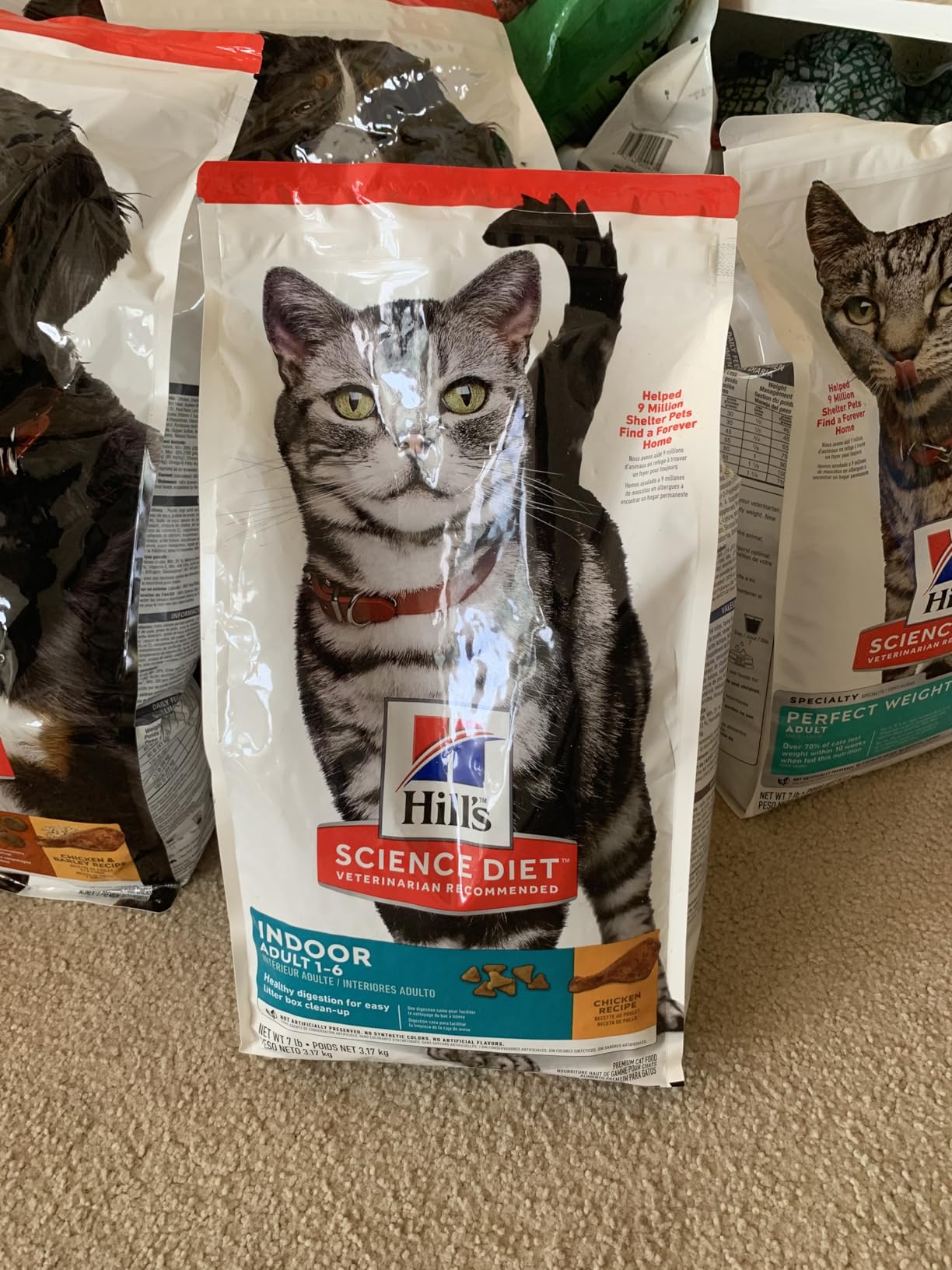 Hill's Science Diet Adult Sensitive Stomach & Skin Dry Cat Food, Chicken & Rice, 7 lb. Bag customer photo 2