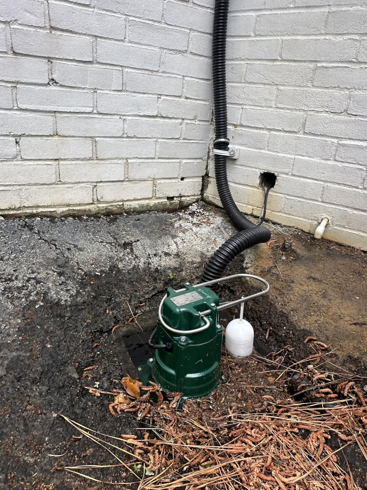 Zoeller Waste-Mate 267-0001 Sewage Pump, 1/2 HP Automatic – Heavy-Duty Submersible Sewage, Effluent or Dewatering Pump customer photo 2
