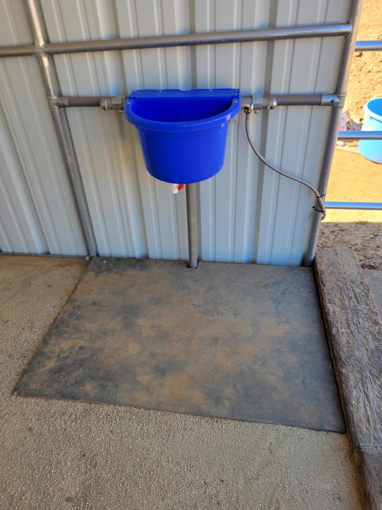 Little Giant Automatic Animal Waterer | DuraMate Float Controlled Automatic Waterer for Livestock | Heavy Duty and Durable | Made in USA | 4 Gallon (Blue) customer photo 2