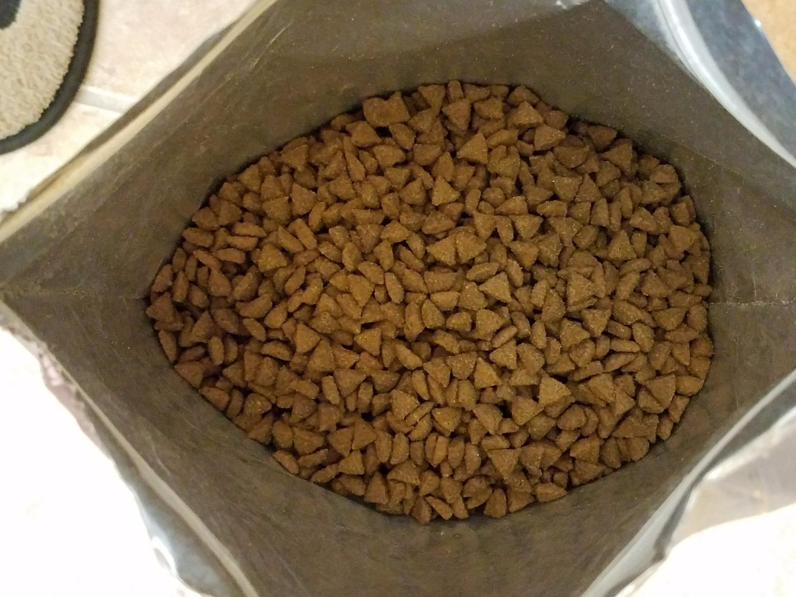 Wellness CORE Small Breed Adult Dry Dog Food, Grain Free Kibble, Natural, High Protein, Turkey and Chicken Recipe, 4 lb Bag customer photo 1