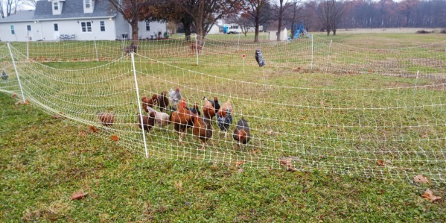 Patriot PE2 Electric Fence Energizer, 0.10 Joule (Original Version) customer photo 1