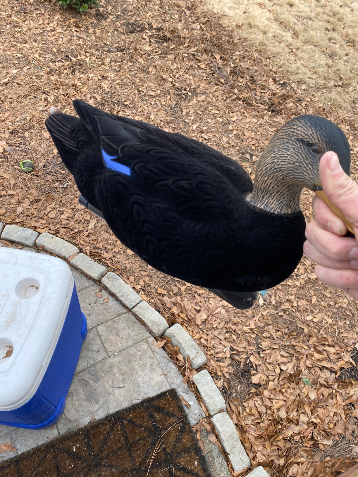 Topflight Black Duck Decoys: Realistic, Durable, and Motion-Activated Flocking (6 True-to-Life Postures) customer photo 2